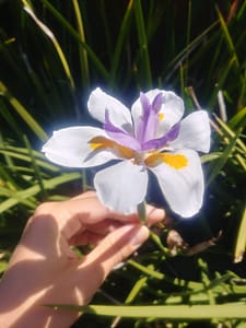 Mental & Physical Health Resources