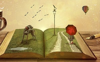 Learn New Skills